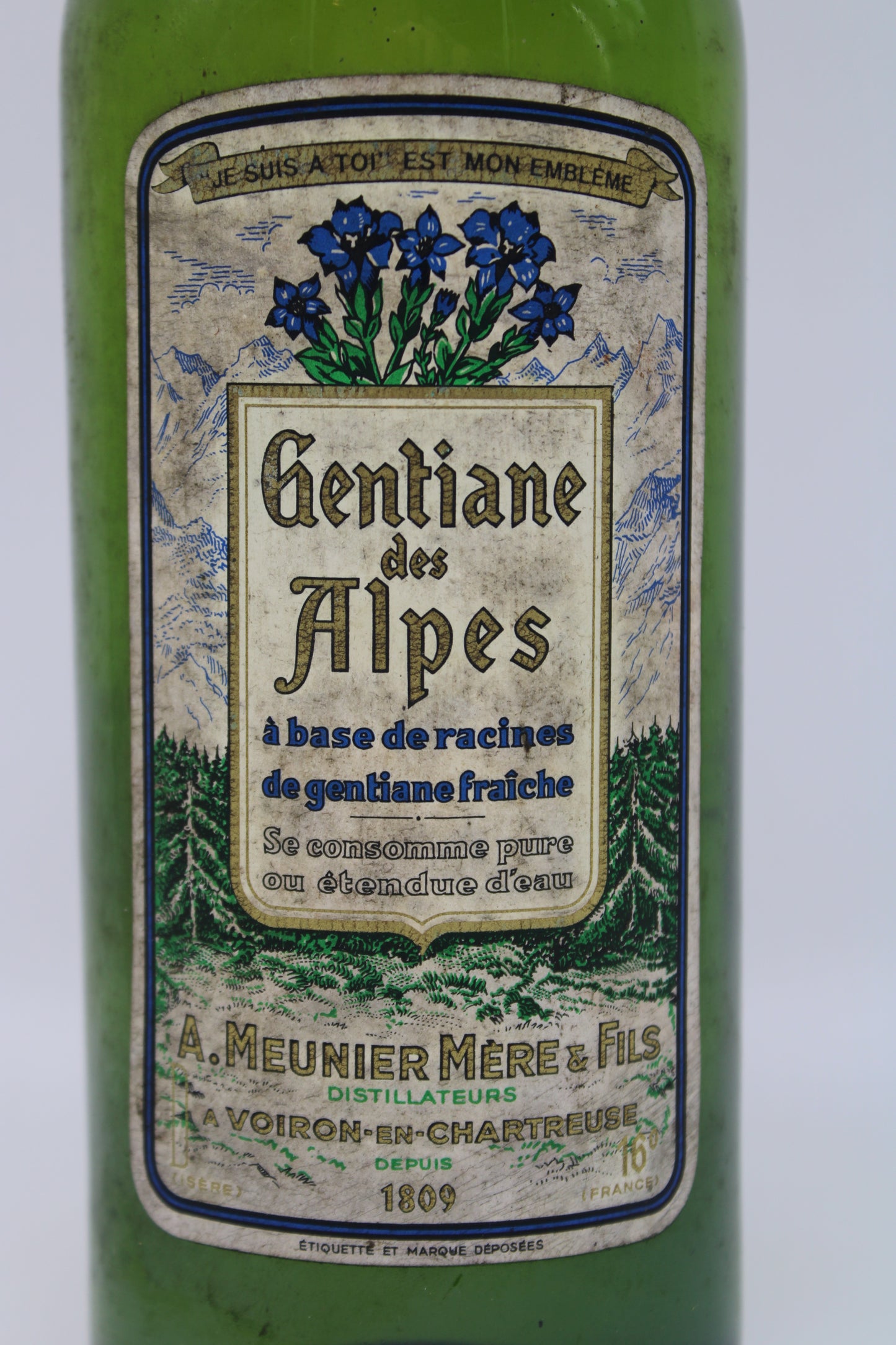 Gentiane des Alpes - A. MEUNIER MERE & FILS